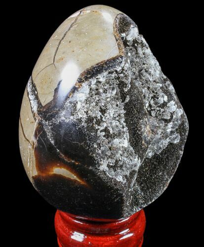 Septarian Dragon Egg Geode - Black Crystals #83213